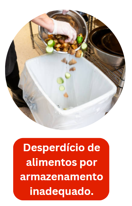 armazenamento de alimentos